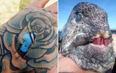 18 нереальных фото удивительных вещей и явлений, которые заставят вас сказать: «Вау!» - leprechaun.land - Дания - штат Южная Каролина
