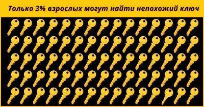 Только самые внимательные из вас смогут пройти этот тест! - leprechaun.land