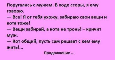 Поругались с мужем. — Вещи забирай, а кота не тронь! – кричит - leprechaun.land