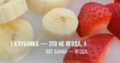 20 фактов о мире вокруг, которые заставят открыть рот даже самых умных из нас - leprechaun.land - Франция