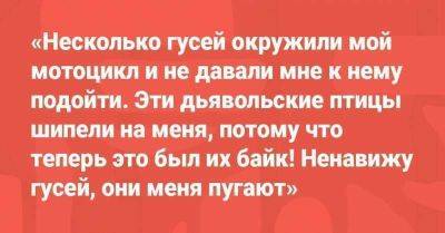 Пользователи сети делятся историями своих опозданий, которые звучат как полный бред. Но это правда! - leprechaun.land