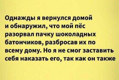 15 удивительных историй, в которых животные оказались слишком уж умными - leprechaun.land - штат Калифорния