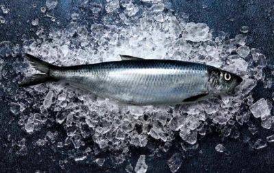 Закуски будут в несколько раз вкуснее: хитрый трюк с селедкой - hochu.ua