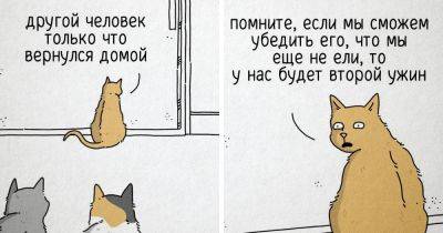 16 уморительных комиксов о животных, в которых забавным образом раскрываются их тайные мысли и желания - twizz.ru