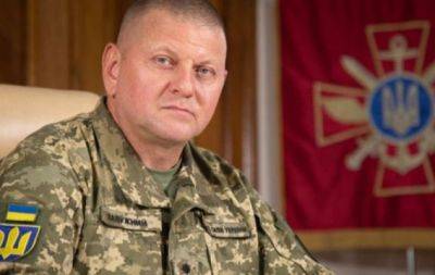 Крутой задел для семейного архива: Валерий Залужный поразил эксклюзивным патриотическим кадром с женой (ФОТО) - hochu.ua - Украина