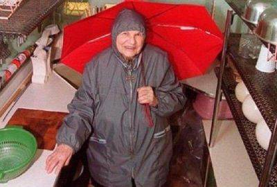 Старушка не убиралась 20 лет, потому что изобрела самоочищающийся дом - leprechaun.land