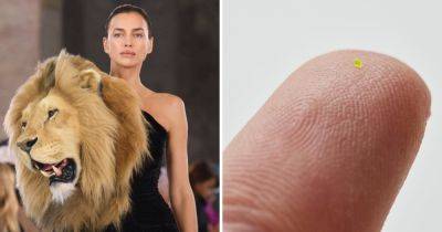 10 самых громких и революционных явлений из мира моды, которые взорвали 2023 год - twizz.ru - Япония - Лондон