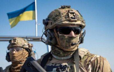 День ВСУ: 10 полезных подарков для наших котиков - hochu.ua - Украина