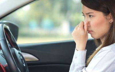 Салон авто больше не будет напоминать пепельницу: как убрать запах сигарет в машине - hochu.ua