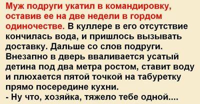 Муж подруги укатил в командировку, оставив ее на две недели в гордом одиночестве. В куллере в его отсутствие кончилась вода… - leprechaun.land