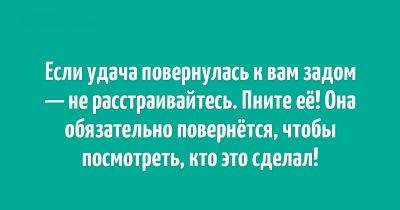 Необычайно забавные анекдоты специально для вас - leprechaun.land - Россия