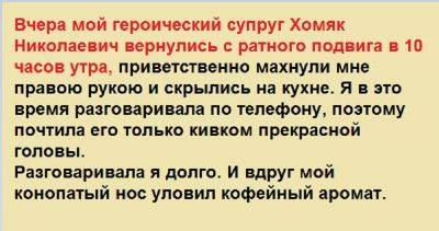 Вчера мой героический супруг Хомяк Николаевич вернулись с ратного подвига в 10 часов утра, приветственно махнули… - leprechaun.land