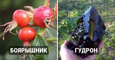 16 странных деликатесов, которыми были не прочь полакомиться дети в СССР - twizz.ru - Ссср