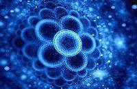Биоритмы - природная гармония жизни - psi-technology.net - Германия