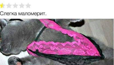 "Мне нужен пылесос, чтобы катать кота": самые смешные отзывы о товарах в Интернете (ФОТО) - clutch.net.ua