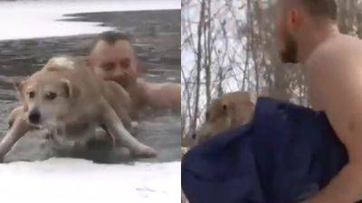 Парень в -20 прыгнул в воду, чтобы спасти собаку: видео спасения облетело Сеть - clutch.net.ua - Россия