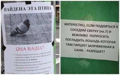"Не рви цветы. Под заклятием": самые смешные объявления из Сети (ФОТО) - clutch.net.ua - Из