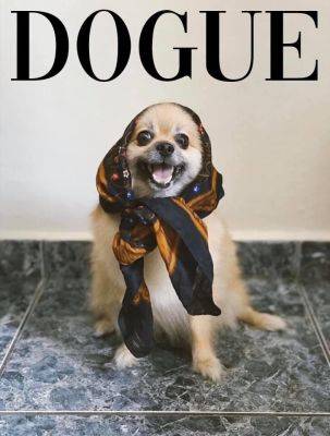 Dogue вместо Vogue: Собаки вместо моделей на обложке продолжают покорять Сеть - clutch.net.ua - Польша