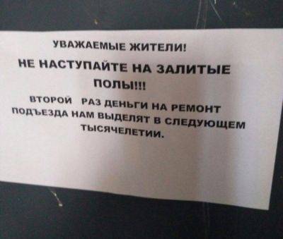 "Мама — овчарка, папа — подлец, но красивый": самые смешные объявления из Сети (ФОТО) - clutch.net.ua - Харьков - Из