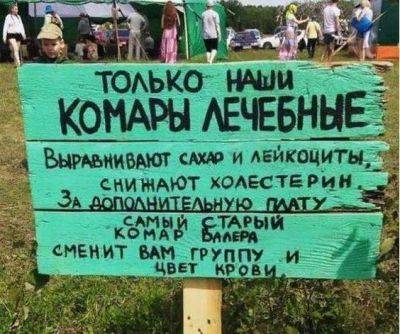 "Старый комар Валера сменит вам группу крови": самые смешные объявления из Сети (ФОТО) - clutch.net.ua - Из