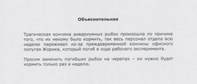 "Трудиться не могу — нет вдохновения": самые креативные и смешные объяснительные из Сети (ФОТО) - clutch.net.ua - Из