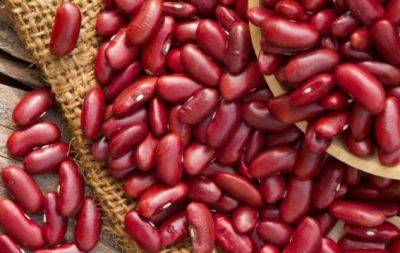 Главный фасолевый секрет: как и когда собирать и хранить урожай - hochu.ua