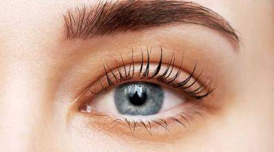 Процедура ламинирование ресниц. Плюсы и минусы процедуры - beauty-lady.com.ua