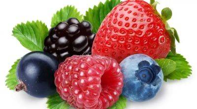 Самые полезные продукты для мозга - beauty-lady.com.ua