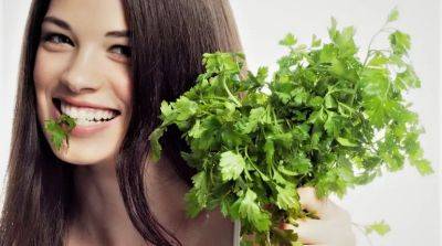 Эффективность льда с петрушкой для лица - beauty-lady.com.ua