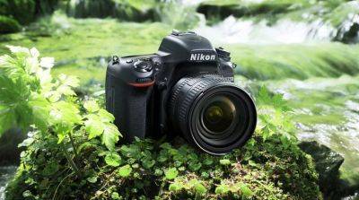 Какая зеркалка лучше: Nikon или Canon? - beauty-lady.com.ua