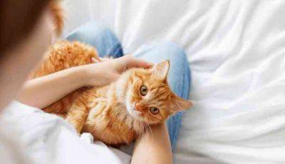 Real Pussy Power Как укрепить вагинальные мышцы - ru.justinfeed.com