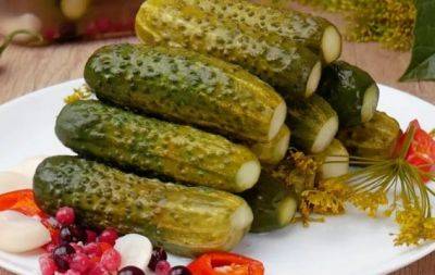 Огурчики как из бочки: древний способ засолки огурцов (РЕЦЕПТ) - hochu.ua