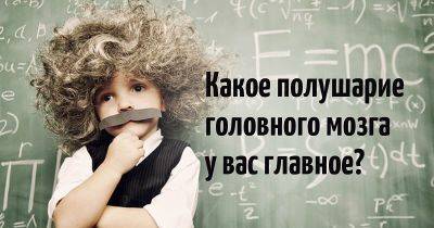 Правое или левое? Какое полушарие у вас доминирующее - leprechaun.land