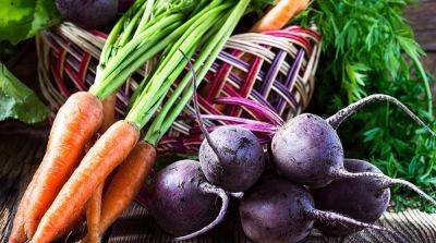 8 полезных продуктов, передозировка которых может серьезно навредить - bloggirl-net