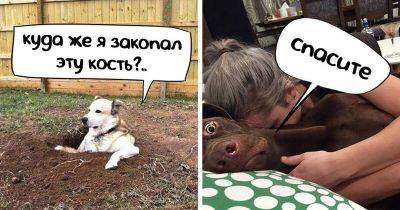 18 животных, которые невероятно красноречиво выражают своё внутреннее состояние - leprechaun.land