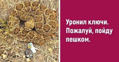 17 фотографий, глядя на которые даже самые дикие неудачники почувствуют себя везунчиками - leprechaun.land - республика Коми
