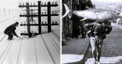 20 крутых ретро-фотографий из прошлого века, которые вы вряд ли найдёте в учебнике истории - leprechaun.land - Сша - Франция - Швейцария - Ссср - Греция - Испания - Италия - Словакия - Стамбул - Шотландия - Руанда - республика Коми