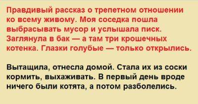 Правдивый рассказ о трепетном отношении ко всему живому Моя соседка пошла выбрасывать мусор и услышала писк. - leprechaun.land
