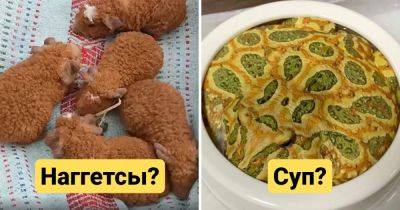 18 животных, которые по любопытной случайности имеют вопиющее сходство с едой - twizz.ru