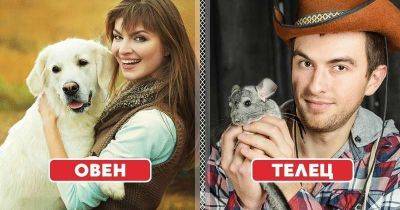Какой домашний питомец вам больше всего подойдет по знаку зодиака - leprechaun.land
