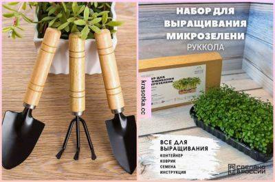 Домашний мини-сад с Wildberries: 10 необходимых товаров - krasotka.cc