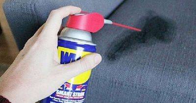 Как с помощью WD-40 сэкономить кучу денег и нервов: 34 полезных способа - leprechaun.land
