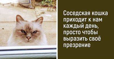 15 неожиданно смешных фотографий, на которые не знаешь как и реагировать - leprechaun.land