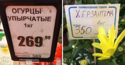 15 ценников, которые будто специально были созданы смешными, чтобы отвлекать нас от цифр - twizz.ru