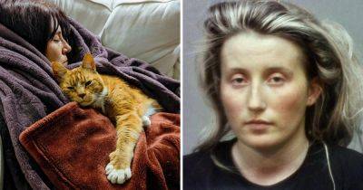 20 обычных фотографий, которые внезапно оказались похожими на шедевр живописи - twizz.ru - Германия - Рим - Брюссель