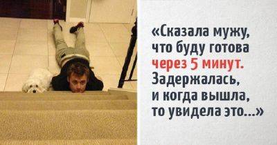 20 фееричных собачьих моментов из интернета, которые подарят вам улыбку - leprechaun.land