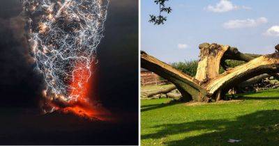 15 фотографий, которые доказывают, что молния — это великолепная, но очень страшная штука - twizz.ru - штат Флорида - Чили - Венесуэла