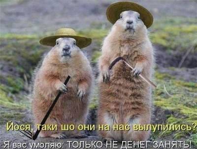 «Не расчесывайте мне нервы»: веселые анекдоты от настоящих одесситов - leprechaun.land - Одесса