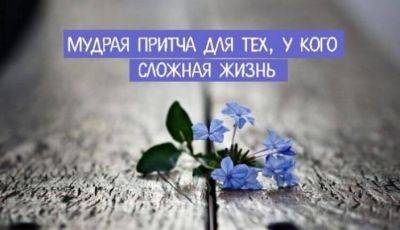 Мудрая притча для тех, у кого сложная жизнь - leprechaun.land