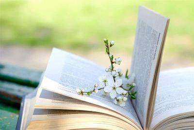 10 новых книг: апрель 2025 - miridei.com - Китай
